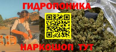ГАЛЛЮЦИНОГЕННЫЕ ГРИБЫ Гусев