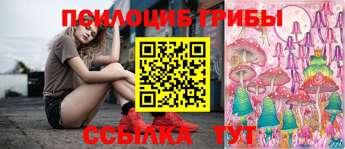 Псилоцибиновые грибы Cubensis  Вход с VPN  Нижнекамск 